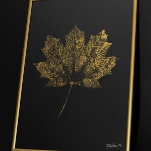 Autorska Grafika Botaniczna. Złoty Plakat Liść Klonu 20x30cm. Złota Rama Alu