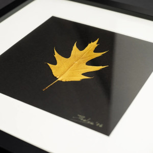 Złoty Liść Dębu. Autorski Obraz Botaniczny. Czarna Ramka 25x25cm