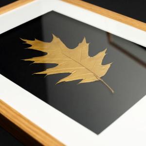 Złoty Liść Dębu. Obraz Botaniczny. Drewniana Ramka Dąb 20x30cm