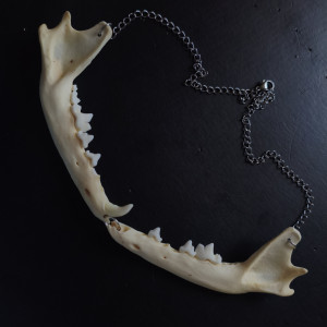 Naszyjnik z lisiej żuchwy