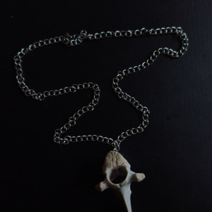 Naszyjnik z kręgiem sarny