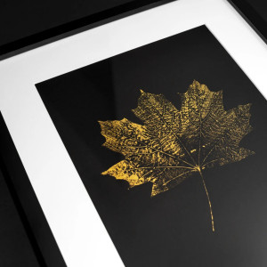 Monotypia Botaniczna. Złoty Liść Klonu. Obraz w Ramie A3