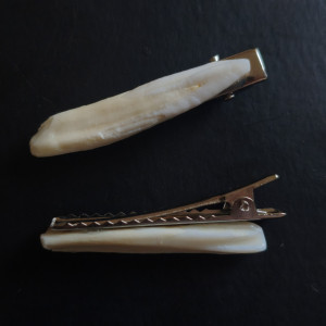 Spinki z zębami dzika