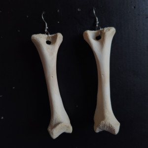 Kolczyki proste kość szczeniaka