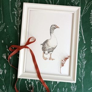 Gąska ilustracja A4