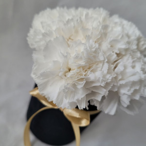 Bukiecik stabilizowanych goździków / Naturalne kwiaty z trwałością minimum dwóch lat!  WieczneBukiety.pl