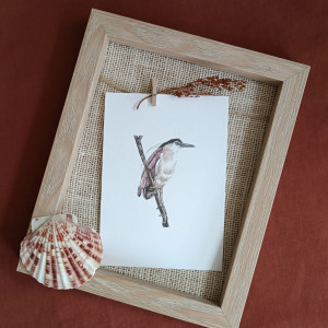 Czapla modra pocztówka ilustracja A6