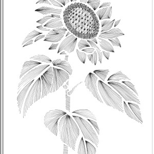 64. SŁONECZNIK - rysunek, plakat.