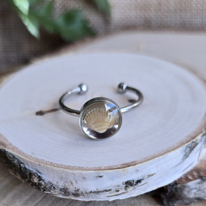 Pierścionek z muszlą muszelką srebrny