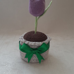 Tulipan w doniczne🌷 - podziękowanie, prezent na każdą okazję