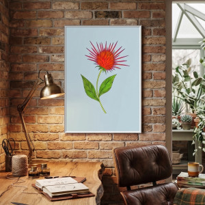 91. Osobliwości botaniczne: Jeżówka - rysunek, plakat.
