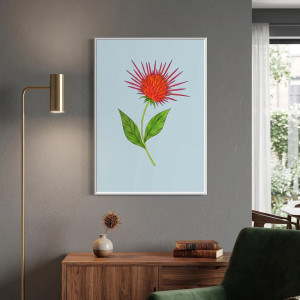 91. Osobliwości botaniczne: Jeżówka - rysunek, plakat.