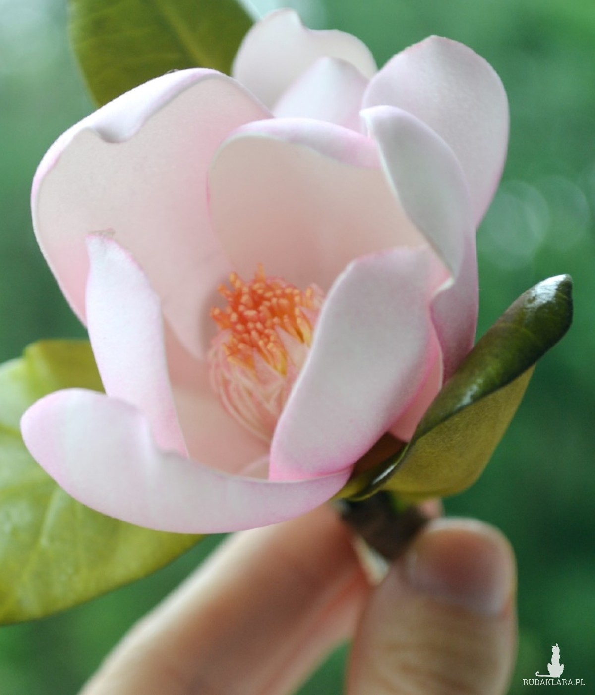 Spinka do włosów Kwiaty magnolii