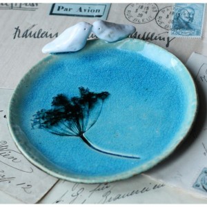 Talerzyk z koprem średni