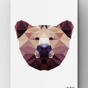 NIEDŹWIEDŹ WILD B2