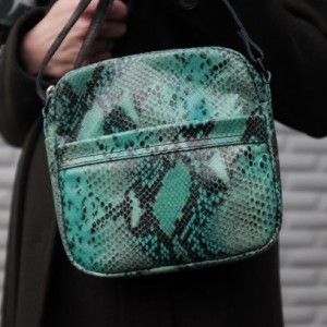 Zielony smok kwadrat