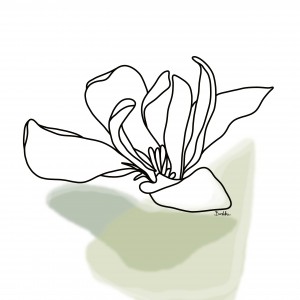 Grafika "Magnolia" plik cyfrowy do pobrania, wydrukuj jak chcesz