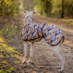 Ubranko dla charta angielskiego whippeta