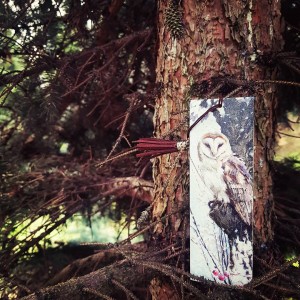 Zakładka do książki Zimowa Sowa