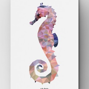 Konik Morski WILD B2