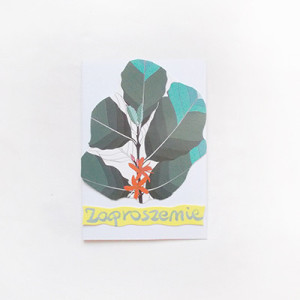 ogólne zaproszenie, zaproszenie bez tekstu, uniwersalne zaproszenie, zaproszenie na imprezę, proste zaproszenia uniwersalne