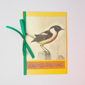 ogólne zaproszenie, zaproszenie bez tekstu, uniwersalne zaproszenie, zaproszenie na imprezę